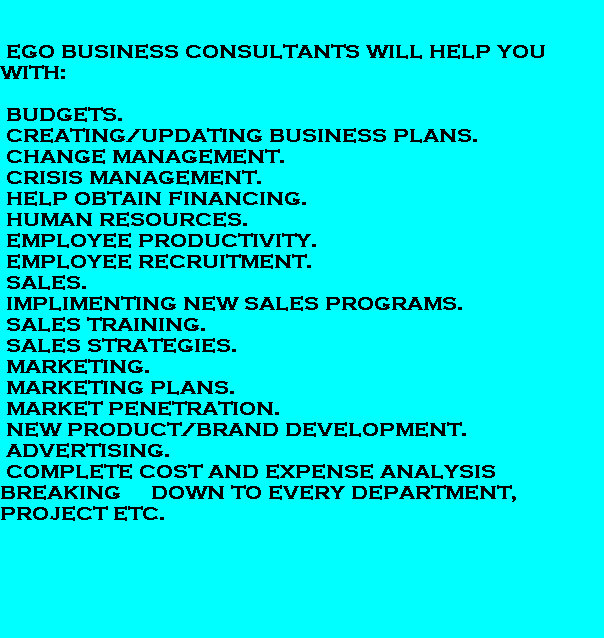 ego_business_consultants_jan_2009005001.jpg